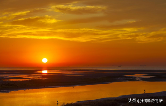 先苦后甜的鼓励句子，熬过最苦的日子的精美短句（做人，要学会先苦后甜）