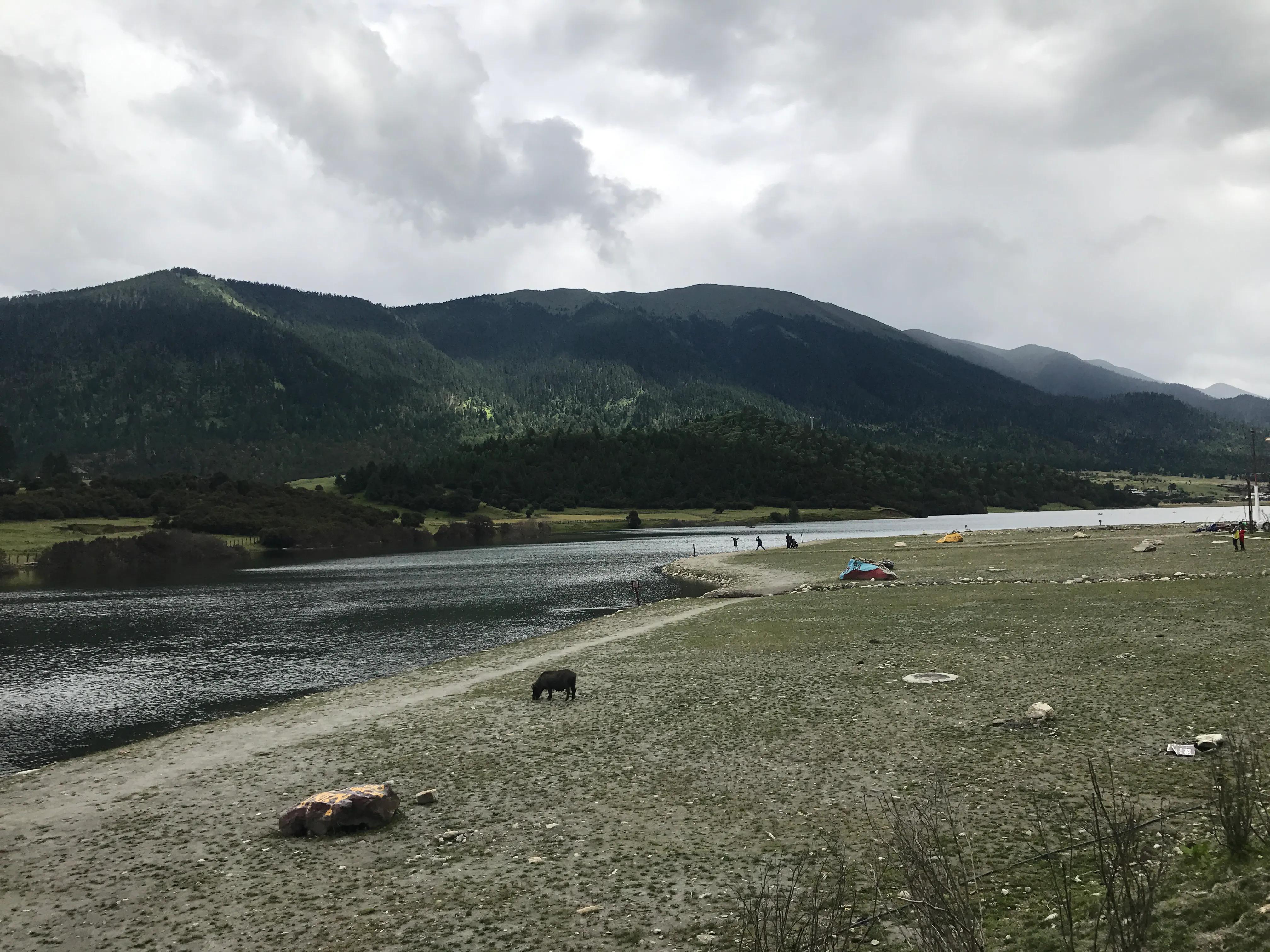 沈阳到拉萨()