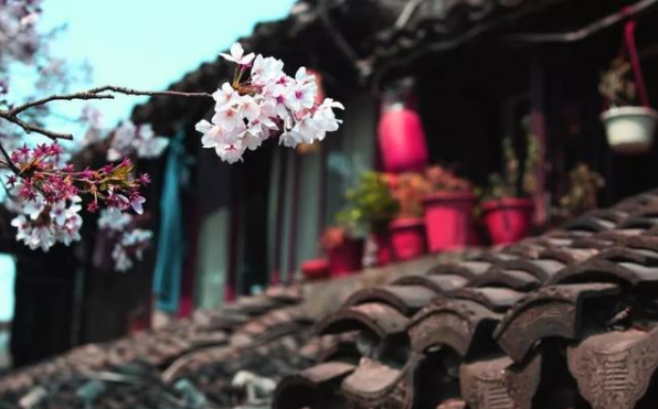 经典散文诗歌，经典散文诗歌朗诵大全小学生（六首催泪诗词：物是人非事事休）