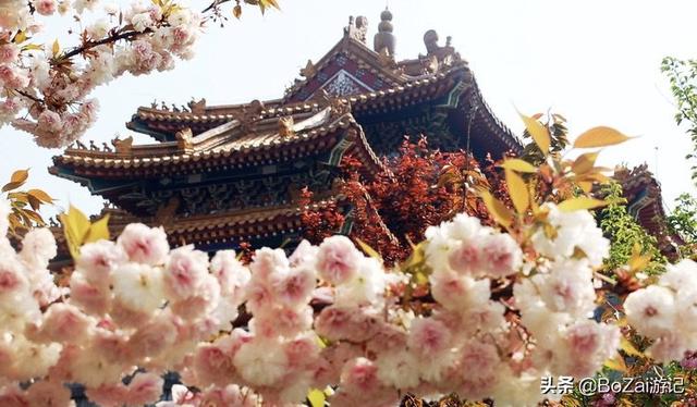 云南大理有哪些地方值得一去，在云南大理有哪些地方可游玩（到云南大理旅游必去的17大景点）