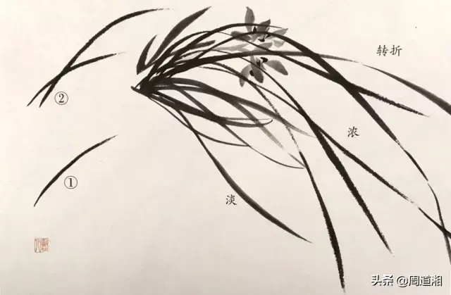 草的简笔画怎么画，猪笼草的简笔画怎么画（兰草的画法）