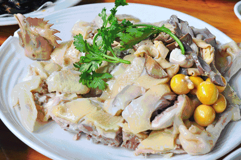 怎么判断是不是蟑螂幼虫（作为广东的一道特色美食）