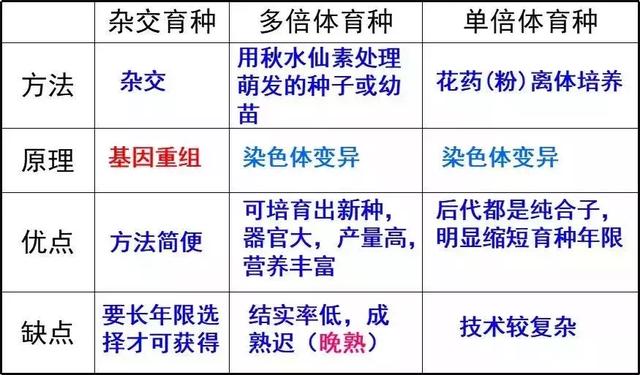 染色体结构变异的四种类型，如何预防染色体错误现象（染色体变异专题详解，学起来）