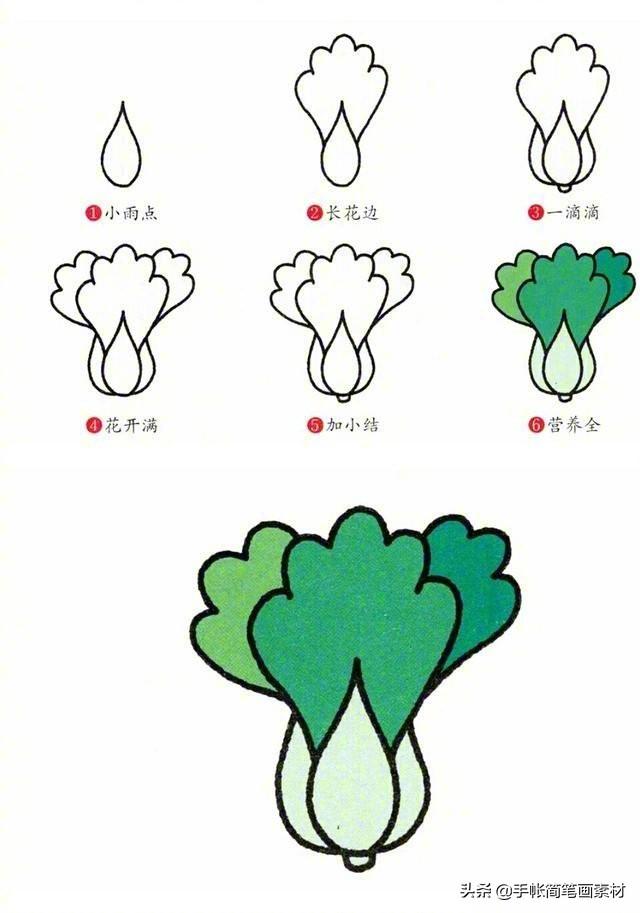 各种蔬菜简笔画，蔬菜简笔画（9种经常吃的蔬菜，简单又好画）
