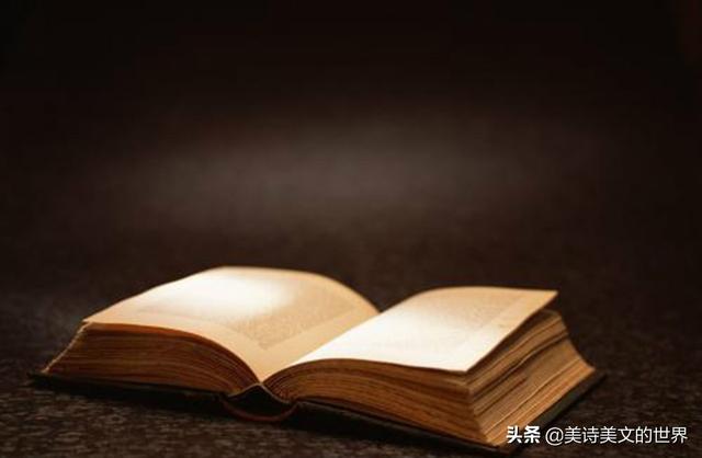 孔子大智慧在这两句：“小不忍则乱大谋”和“是可忍，孰不可忍”