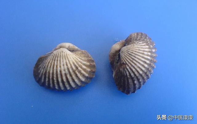 瓦楞子是什么东西，煅瓦楞子的副作用和毒性（来源于食物的中药材）