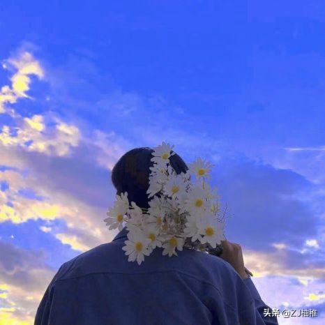 女生的小雏菊长什么样，小雏菊 微信（今日头像 小雏菊男生系列）