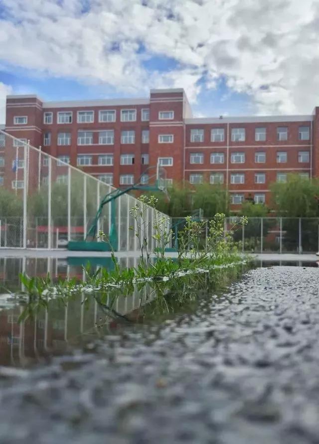 吉林师大博达学院，2021吉林师范大学博达学院排名（<五>吉林师范大学博达学院）