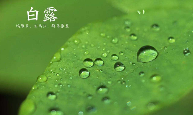 百岁无忧.，微信头像，百岁无忧.（十五首白露诗词）