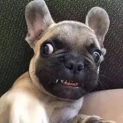 沙雕情侣头像微信，沙雕情侣头像（我会陪着你一起沙雕一辈子）