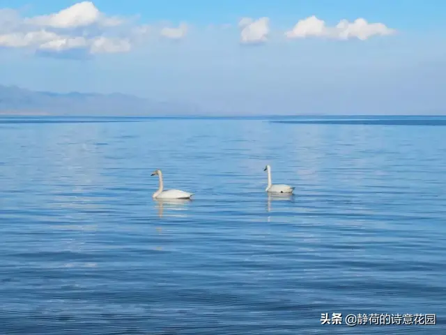 关于春天的诗歌，写给春天的诗歌仿写三年级（隔屏都感觉到了盎然生机与活力）