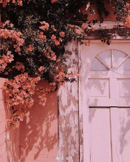 十二星座的专属颜色，十二星座的专属幸运色是什么（十二星座专属颜色大公开）