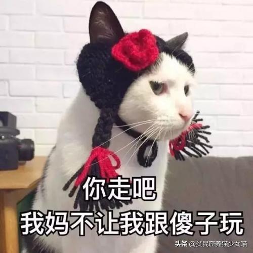 猫怕黄瓜是真的吗，猫咪为何怕黄瓜（那么它们为啥会吓到飞起）