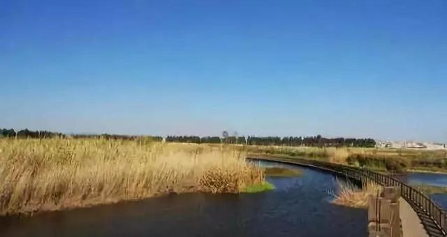 昆明的旅游景点，昆明旅游景点排名前十（昆明最值得打卡的100个地方）