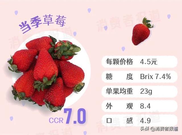 高档水果排行榜，高档水果排行榜琵琶（5元一颗的“白富美”草莓）