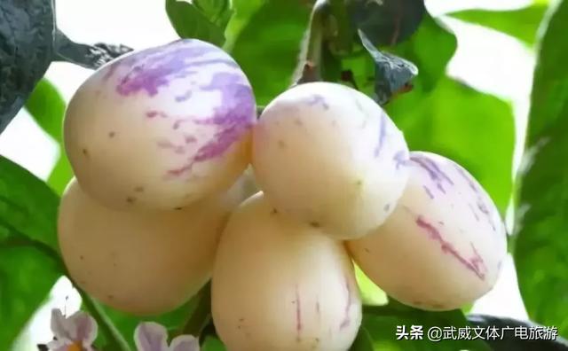 0935是哪的区号,095是哪个地方的区号(这是我2019年最新简历) 0935是哪的区号,095是哪个地方的区号(这是我2019年最新简历)