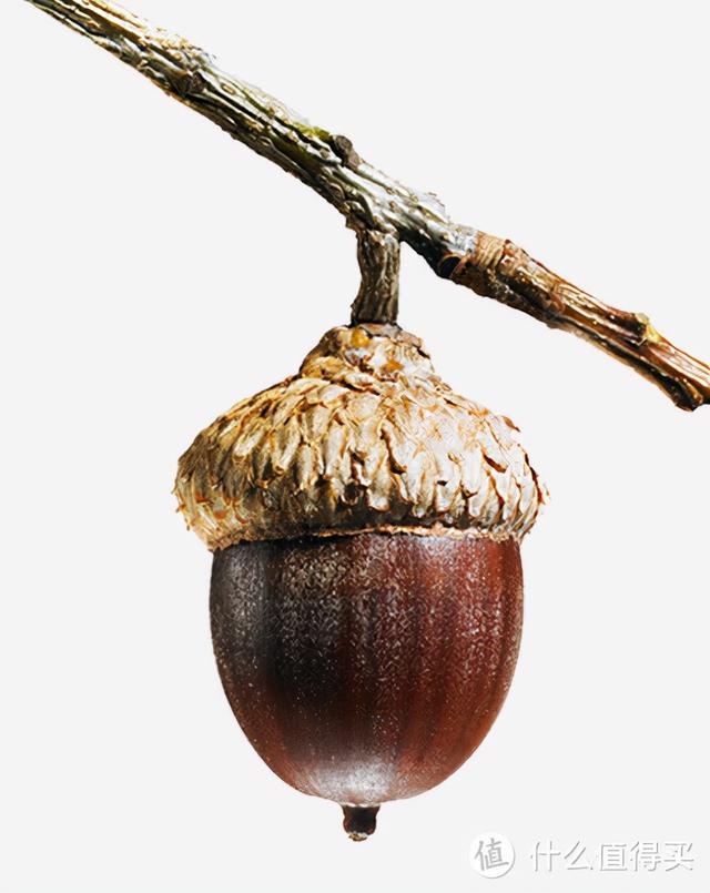 乌木手串怎么辨别真假，乌木手串真假鉴别（万物皆可盘：万字长文）