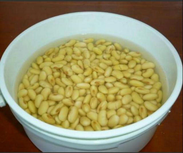 健康水浇花的正确方法，用这3种‘营养水’浇花