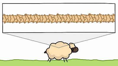 羊绒羊毛衫用什么洗最好，羊绒衫羊毛衫用什么洗好（秋冬毛衣/羊毛/羊绒衫起球、扎人怎么办）