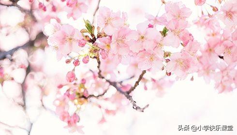 带宿的成语有哪些，带宿的成语有哪些词语（描写春夏秋冬四季的成语大汇总）