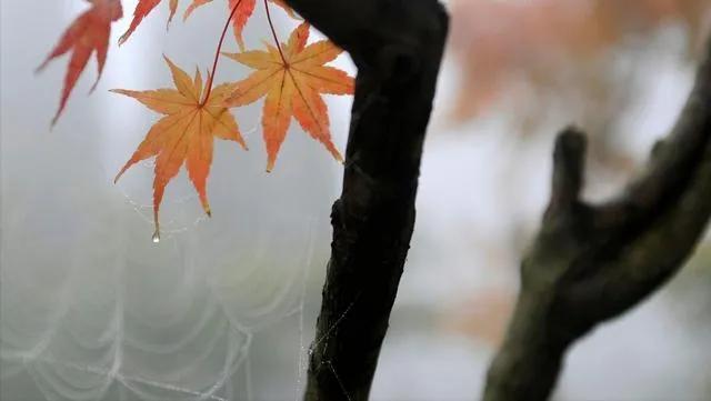 通货紧缩是什么意思，通缩是什么意思（通货紧缩的社会现状）