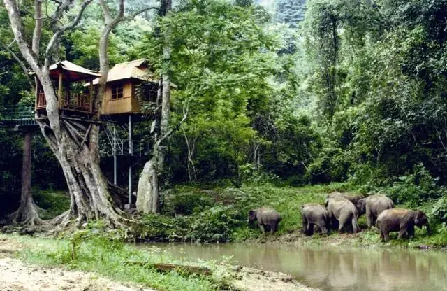 西双版纳旅游线路，请收藏！西双版纳旅游攻略（西双版纳9处最佳旅游景点）