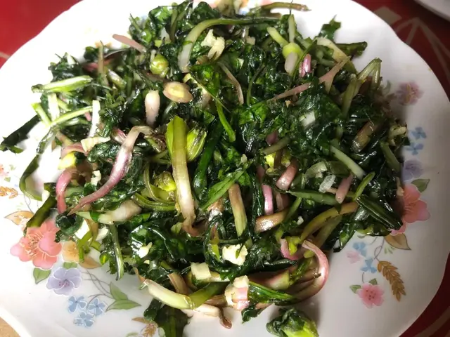 野菜的种类和图片大全，四季野菜图文大全（最美味的15种野菜）