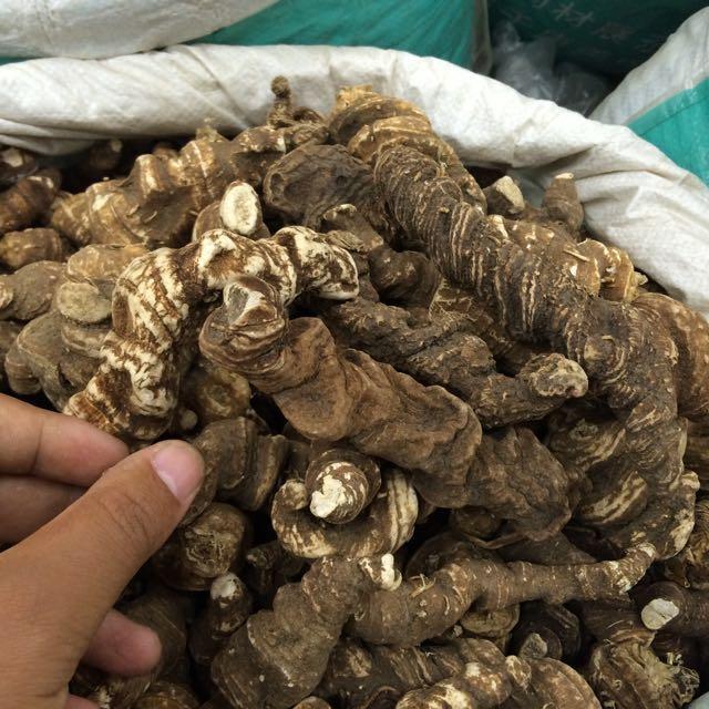 七叶莲（七叶莲图片，西峡县栎类林下套种七叶一枝花技术