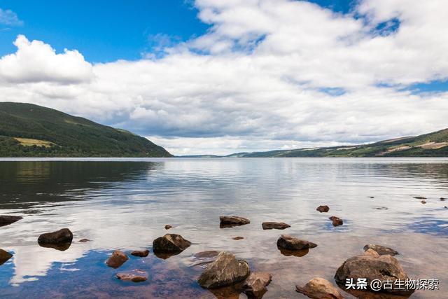 尼斯湖水怪的秘密，科学家揭开尼斯湖水怪的真实面目