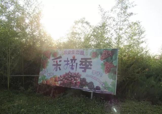 保定农业生态园，保定农业生态园游玩攻略（携55自驾游农业生态园）