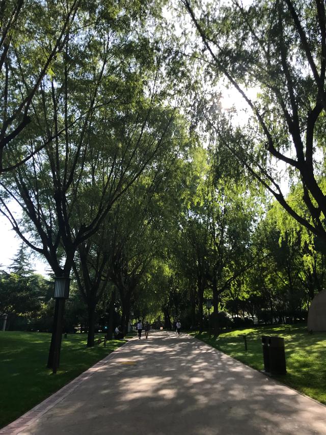 西安南湖公园开放吗，西安南湖公园景点介绍（晨练只能跑马路了）