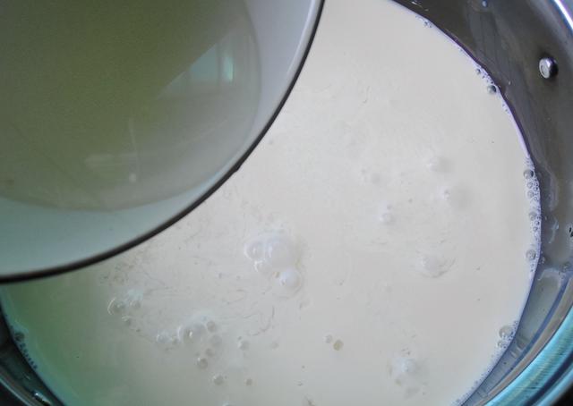 水豆腐的制作方法及配方，自制水豆腐的家常做法（15分钟出豆腐）