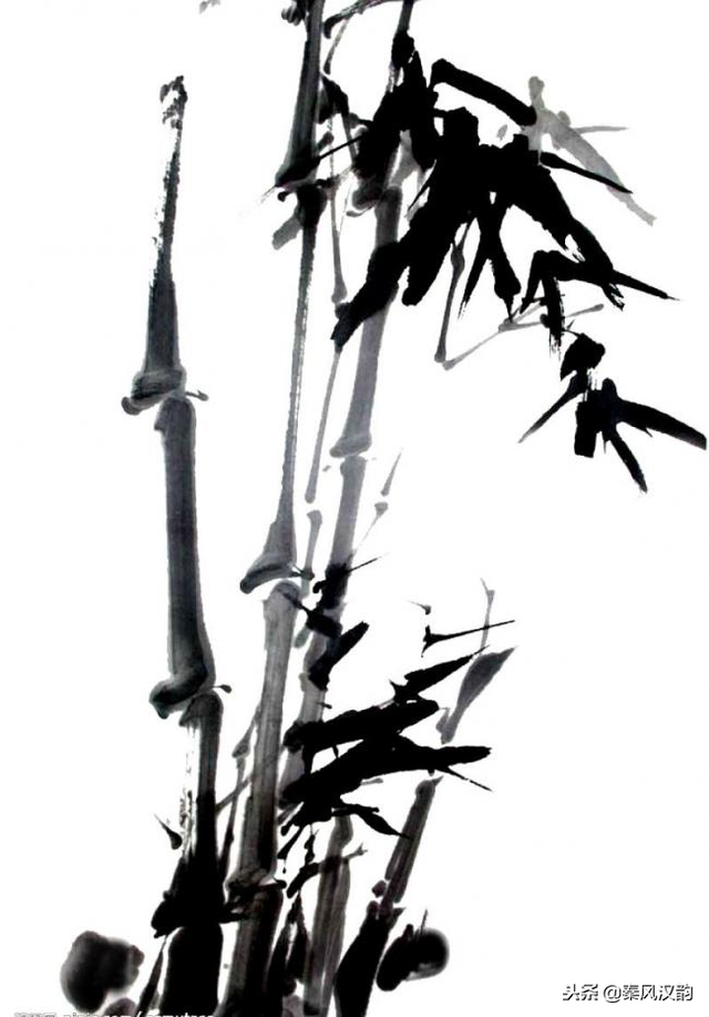 国画竹子的竹枝怎么画，国画竹竿竹枝画法