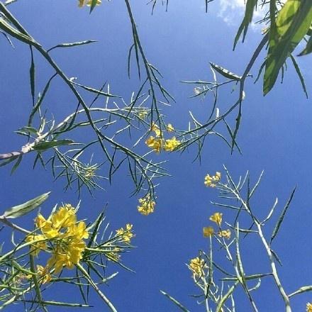 一个被爱情伤过的男人句子，被感情伤得很深的男人的句子（一个人被爱情伤透了的说说）