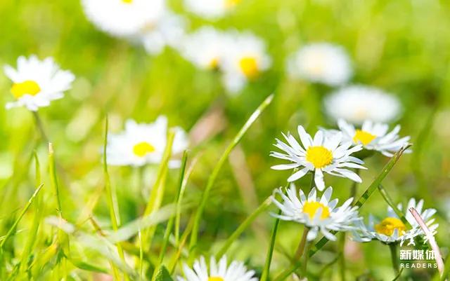 人的一生要过的三个阶段，人生的3个阶段：阅己