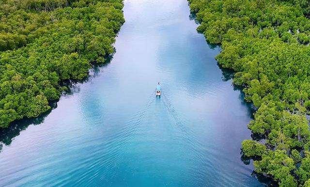 世界上流量最大的河流，世界上流量最大的河流是哪一条河（为什么说亚马逊河是世界上最厉害的河流）