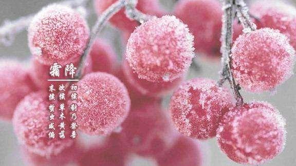 关于霜降的古诗词有哪些，关于霜降的古诗词有哪些三年级（关于的经典诗词送给您）