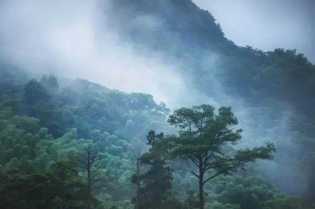 湖州市的湖叫什么，湖州市的湖叫什么 新闻（中间还有一个最美的湖州）