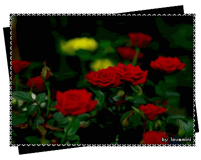 七月七日是情人节吗，每个月十四号都是什么情人节（今天是7月7日情人节）