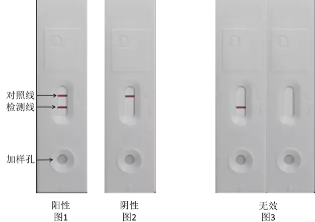 犬副流感如何治疗，犬副流感病毒胶体金检测试纸条、复方甘草酸苷片获批