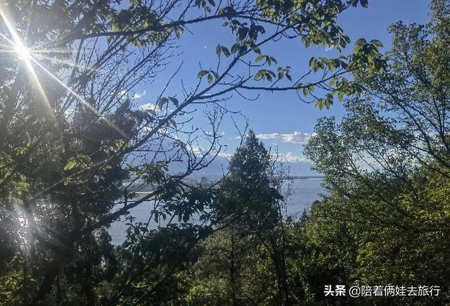 洱海海拔多少米，洱海拔多少米高（发现真是个绝佳的免费宝藏遛娃地）