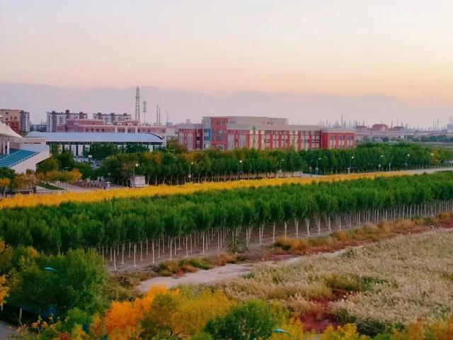 南开大学滨海学院是几本，南开大学滨海学院排名多少是几本（<一>南开大学滨海学院）