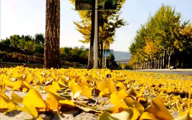 辽宁科技大学宿舍，2021年辽宁科技大学新生宿舍条件图片环境怎么样（<十五>辽宁科技大学）