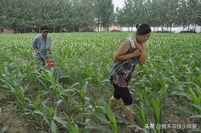 腐殖酸主要原料是什么，腐植酸的十大作用（你可能对腐植酸的认识与使用有误区）