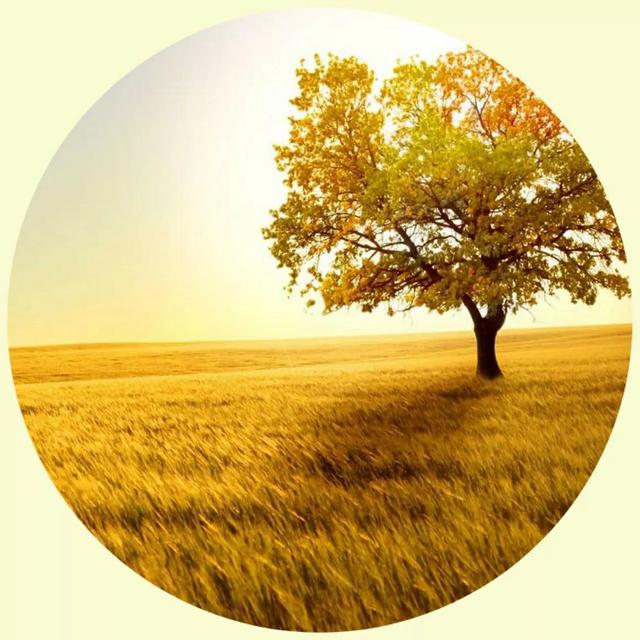 风景照片图片大全，微信头像，风景照片图片大全（令人心旷神怡的美景）