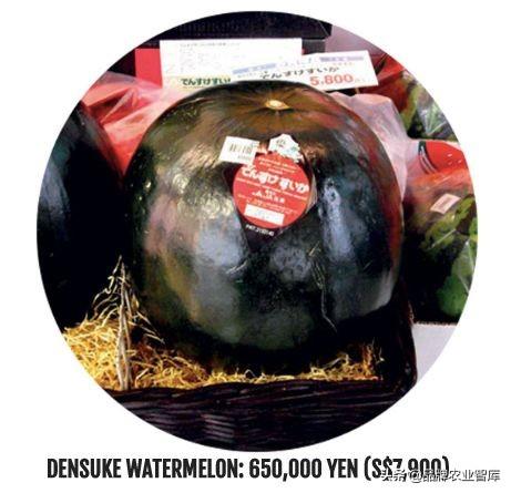 独果是什么，独果是真的吗（吃水果吃掉一套房、几辆车）