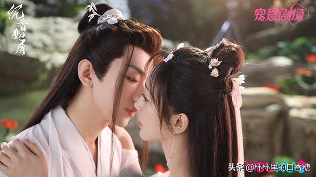 闪婚之先婚后爱，类似先婚后爱闪婚小说（杨紫成毅先虐再更高虐）