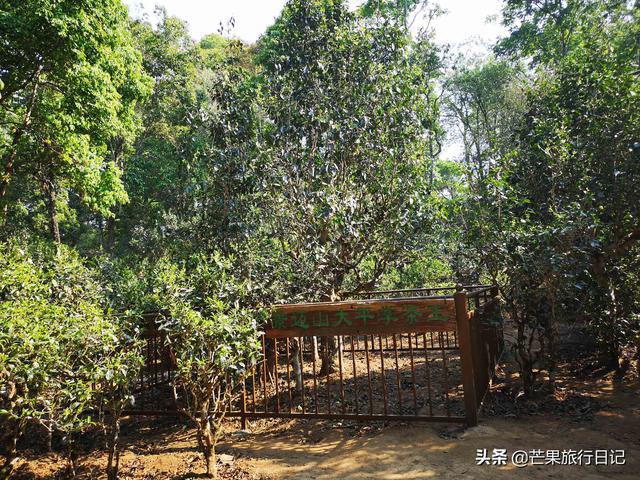 傣族分为哪几种，傣族有哪几种（云南深山有个土豪村）