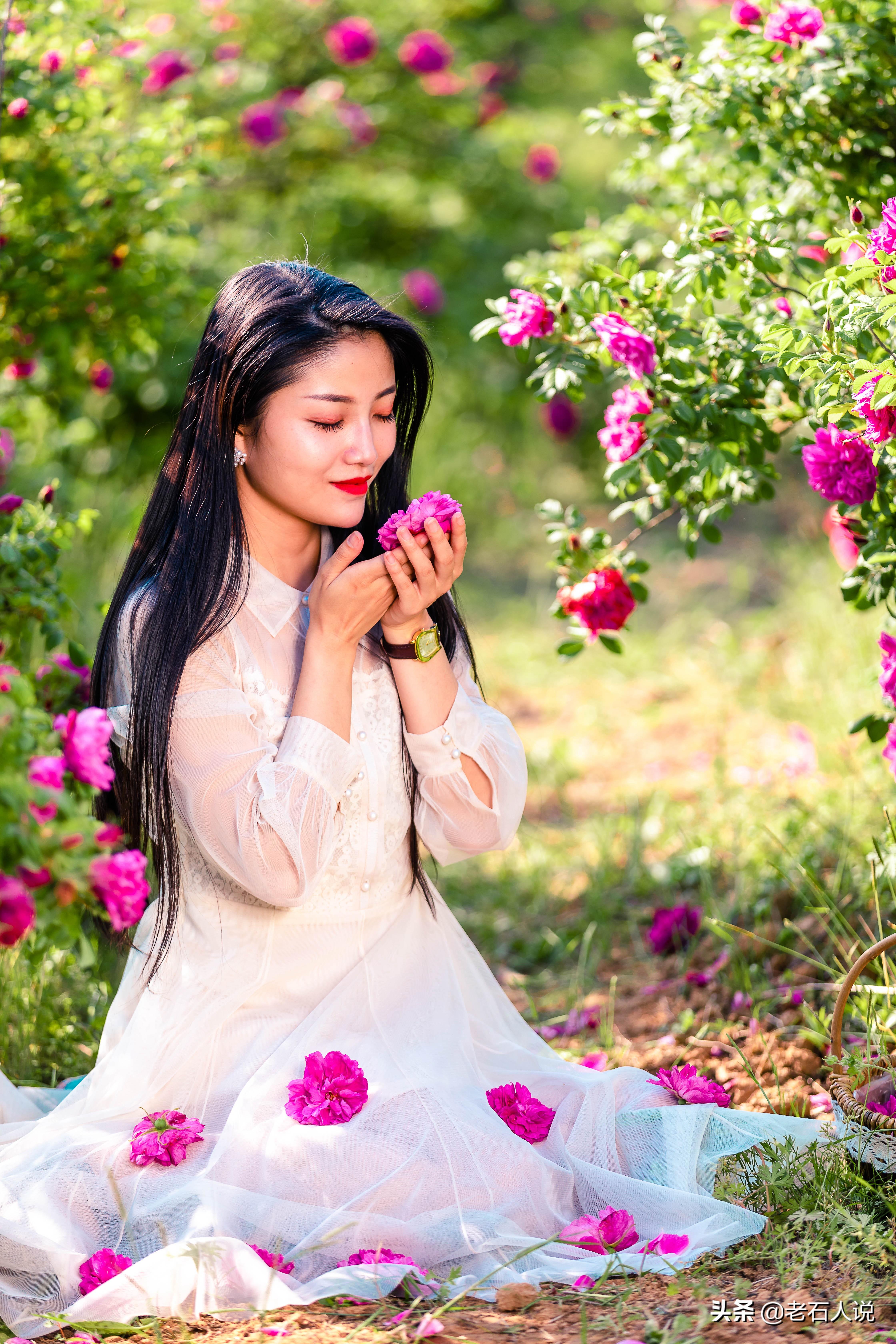 玫瑰花开的季节，玫瑰花在什么季节长出来（玫瑰花在什么季节长出来的）