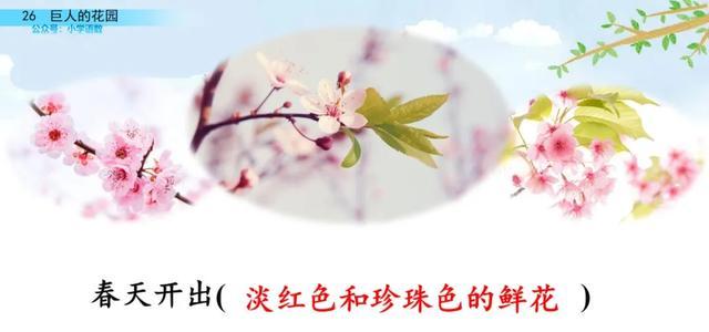 硕大无朋的硕是什么意思，硕大无朋什么意思啊（部编语文四年级下第26课《巨人的花园》知识点+图文讲解+课堂测试）